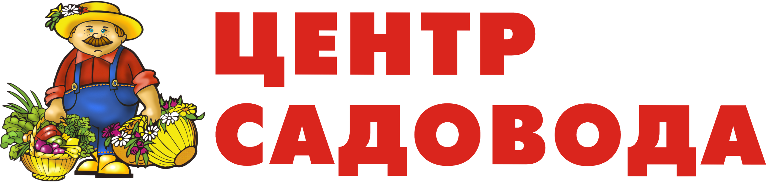 Zaseem.ru