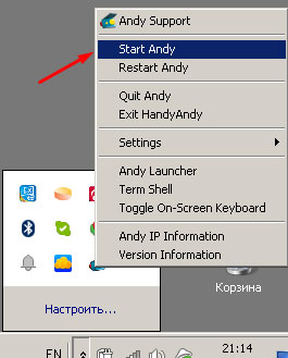 Выбираем пункт «Start Andy»
