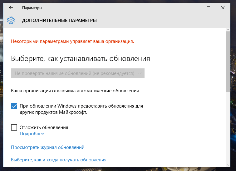 Окно дополнительных параметров, если обновления отключены