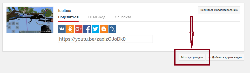 Кнопка «Менеджер видео»