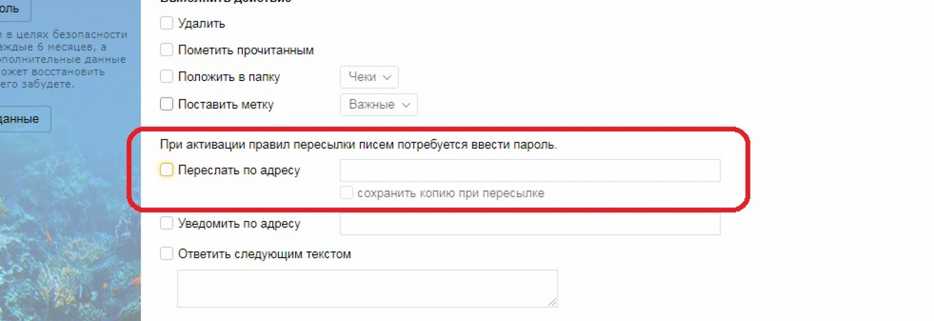 Пересыл на другой адрес