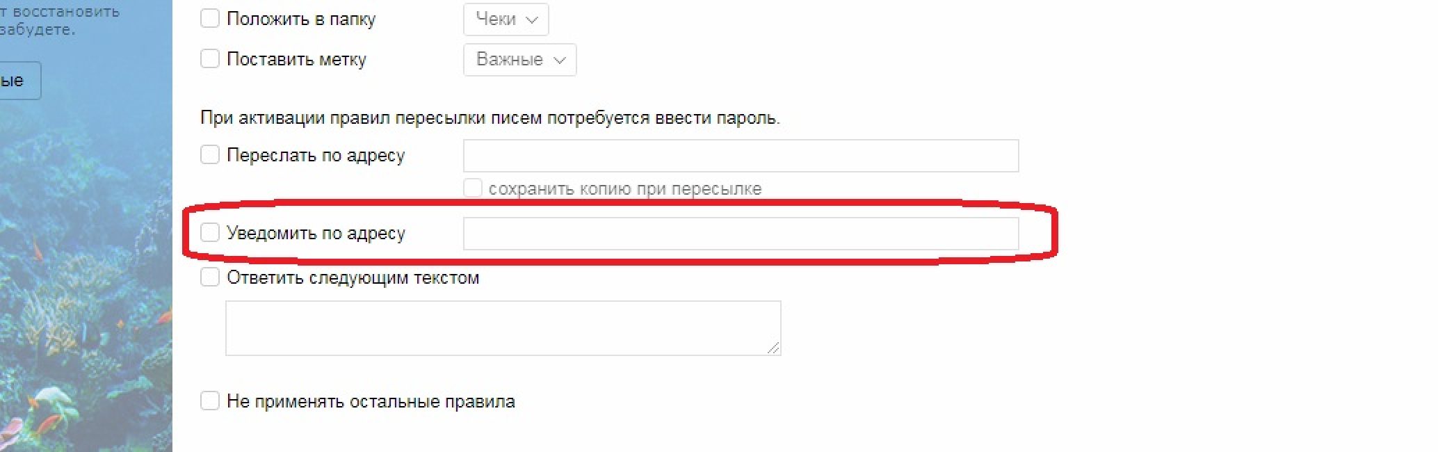 Уведомление на e-mail