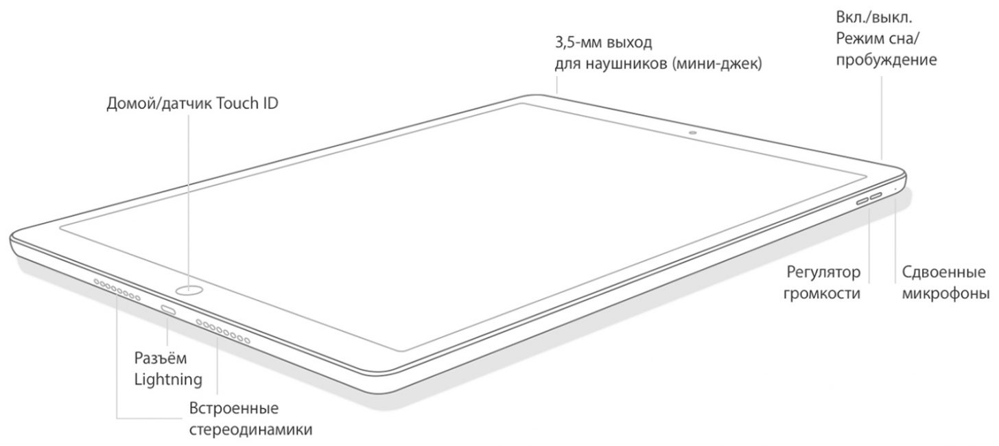 Расположение кнопок на iPad mini 4