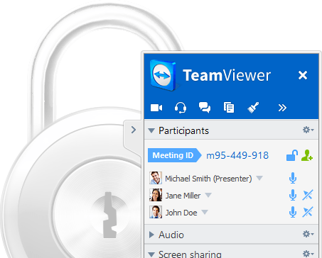 удио team viewer