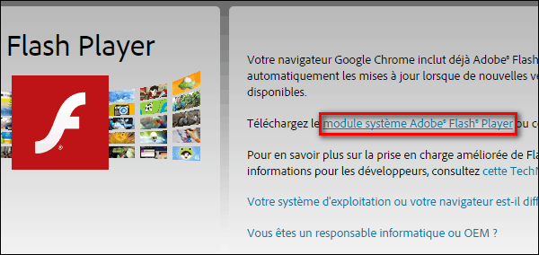 Adobe Flash Player