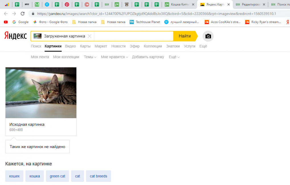 Поиск фото по картинке. Яндекс по картинке. Поиск по картинке. Искать по картинке в Яндексе. Яндекс по фото.