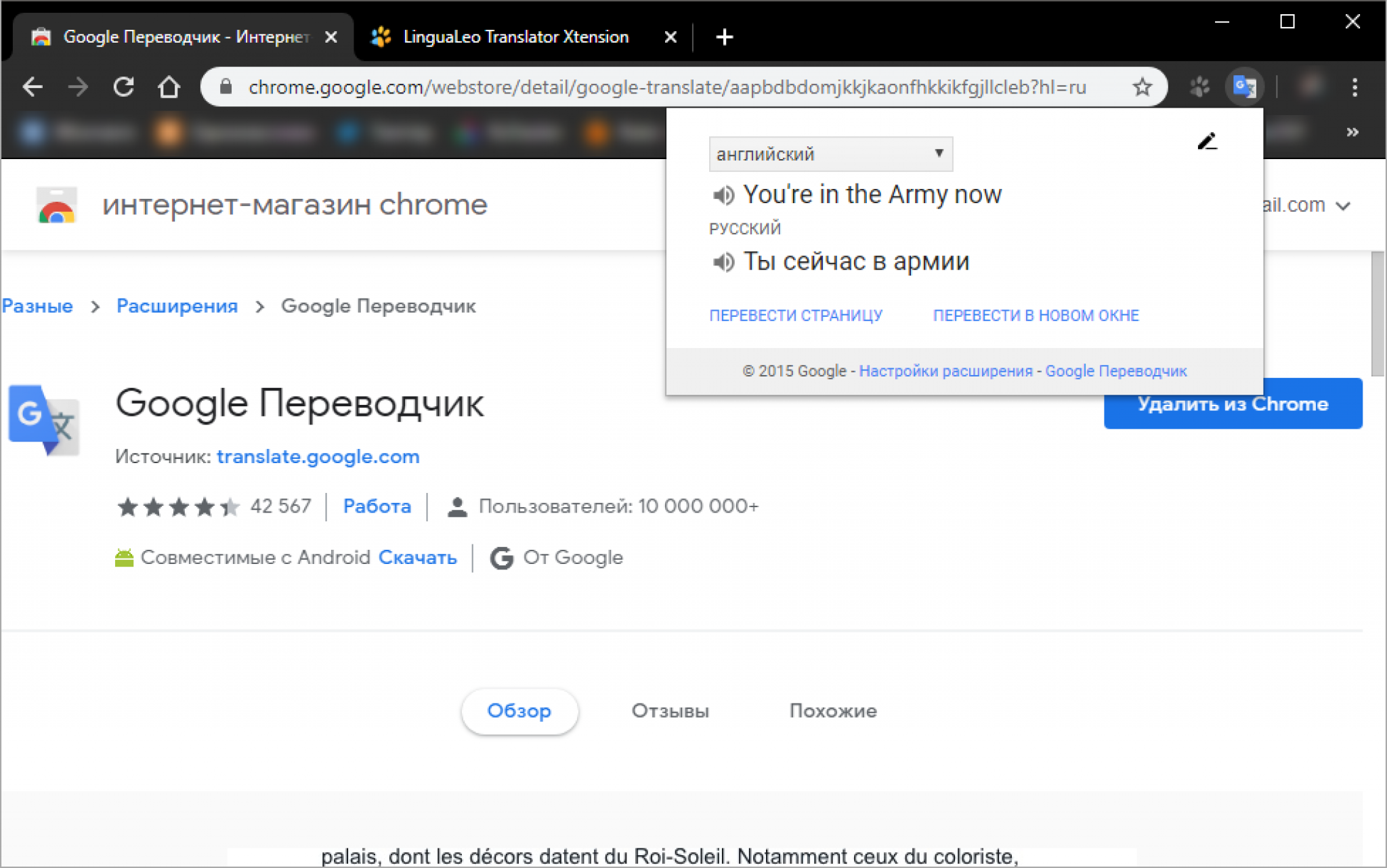 Переводчик по фото хром