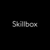 SkillBoxSupport