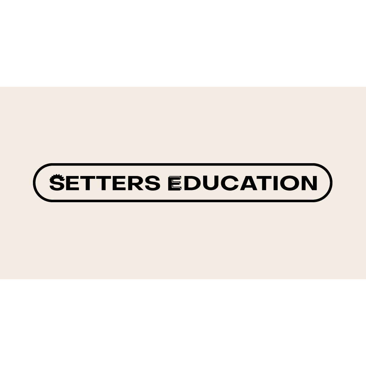Отзывы о курсах SETTERS Education setters_logo
