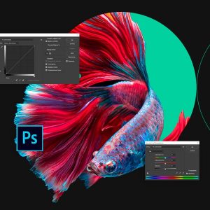 Adobe Photoshop: основы для веб-дизайнера от Нетологии