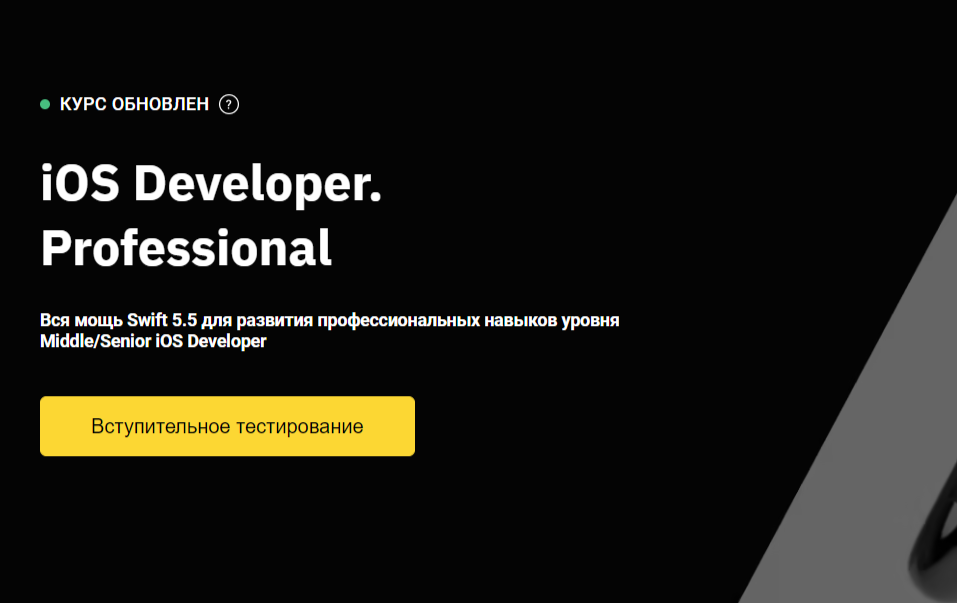 iOS Developer. Professional