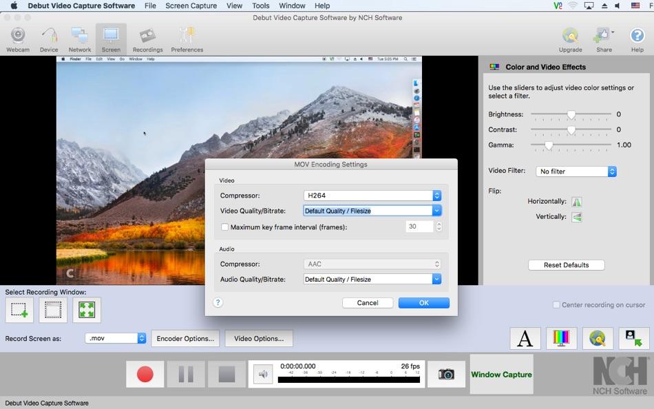 Debut Video Capture

