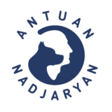 Отзывы о курсах Школа Антуана Наджаряна