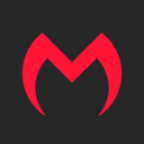 Отзывы о курсах MONSTER MARKETING