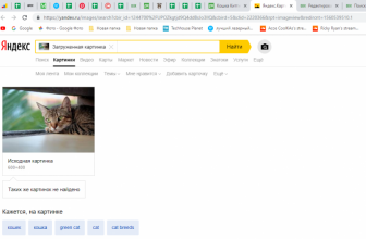 Поиск по Картинке с Телефона в Yandex & Google (Яндекс, Гугл) — 8 Способов